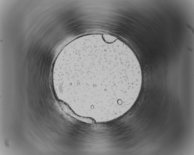 X0000103491379200810241051