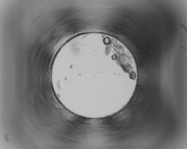 X0000103491380200810241051