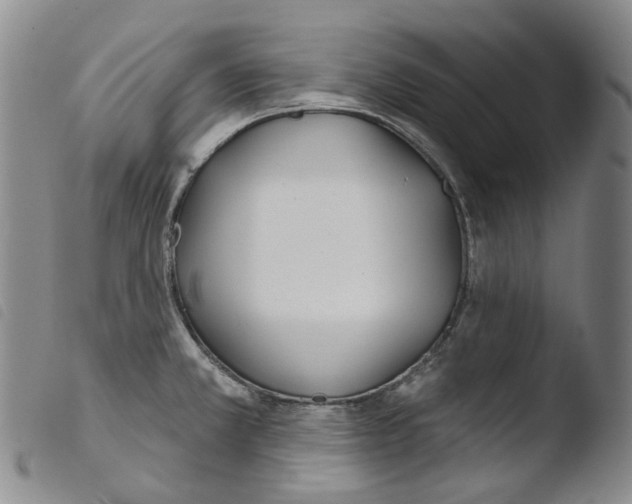 X0000103491381200810241051