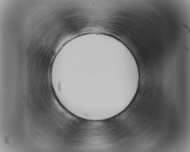 X0000103491382200810241051
