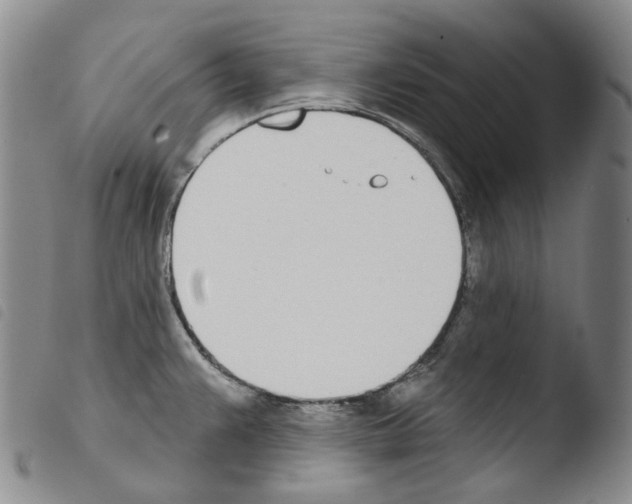X0000103491383200810241051