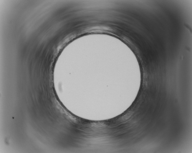 X0000103491384200810241051
