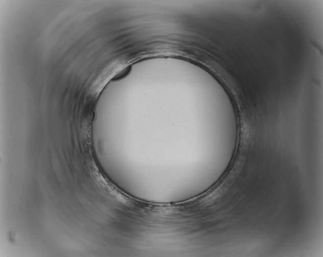 X0000103491385200810241051