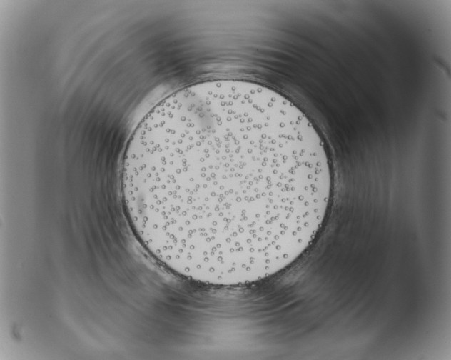 X0000103491386200810241051