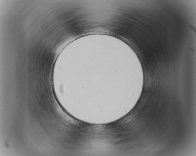 X0000103491387200810241051