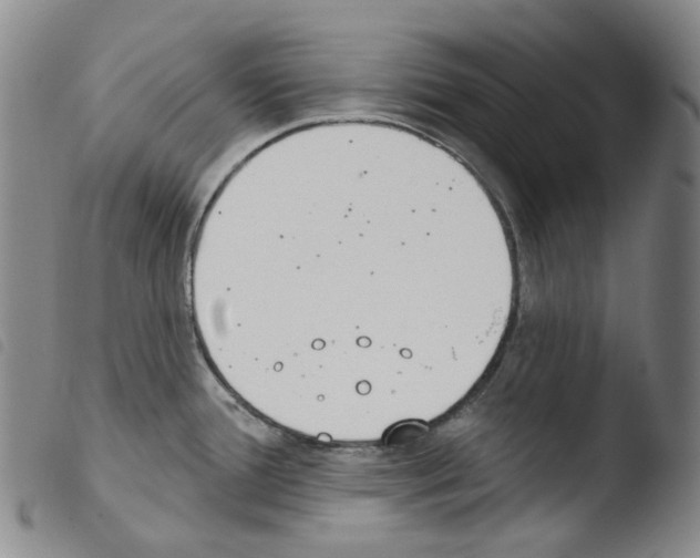 X0000103491388200810241051