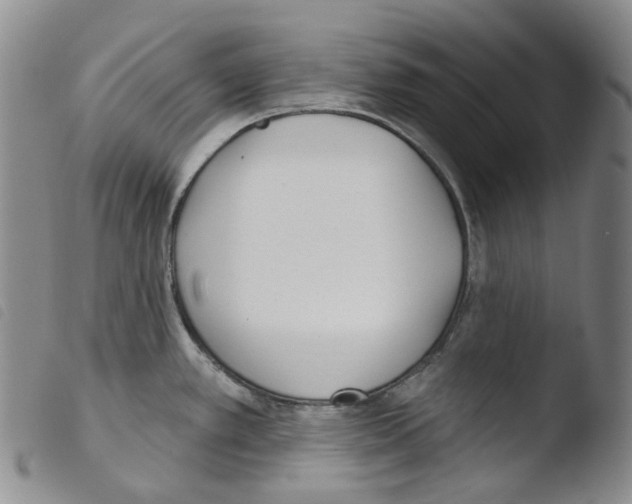 X0000103491389200810241051