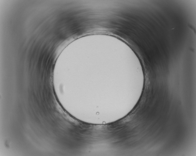 X0000103491390200810241051