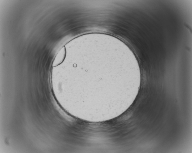 X0000103491391200810241051
