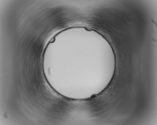 X0000103491392200810241051
