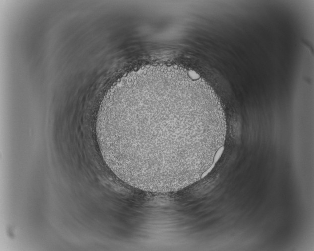 X0000103491393200810241050