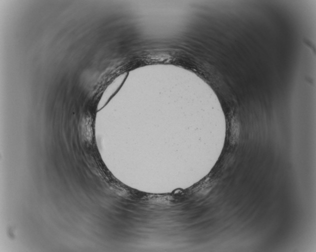 X0000103491394200810241050