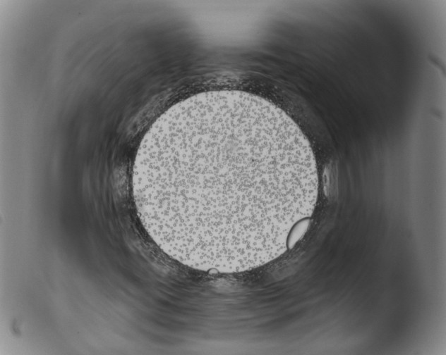 X0000103491395200810241050