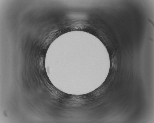 X0000103491396200810241050