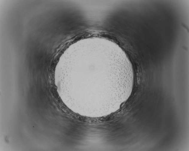X0000103491397200810241050