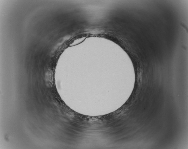 X0000103491398200810241050