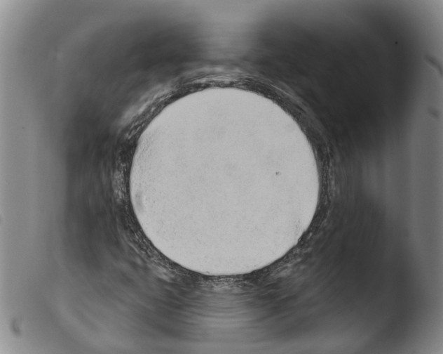 X0000103491399200810241050