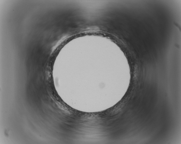 X0000103491400200810241050