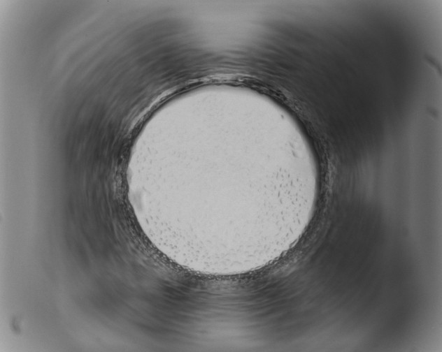 X0000103491401200810241050