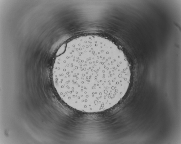 X0000103491402200810241050