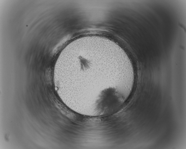 X0000103491403200810241050