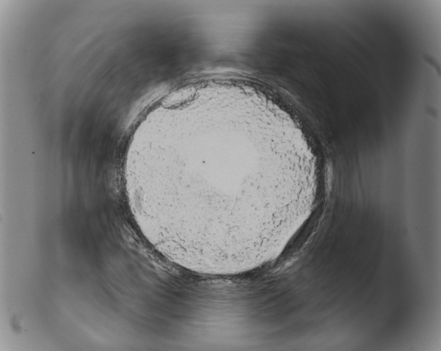 X0000103491405200810241050