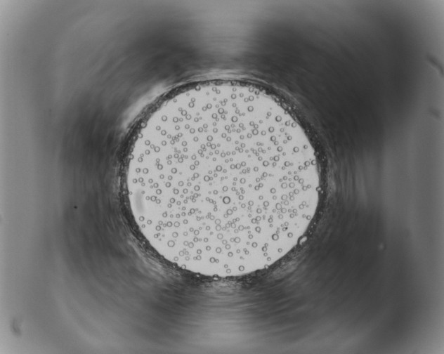 X0000103491406200810241050