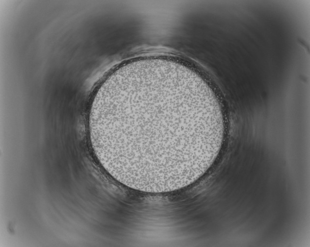 X0000103491407200810241050