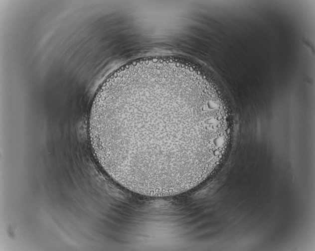 X0000103491409200810241050
