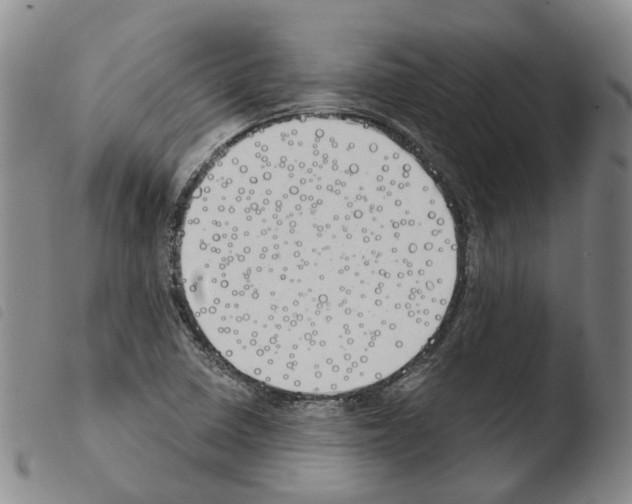 X0000103491410200810241050