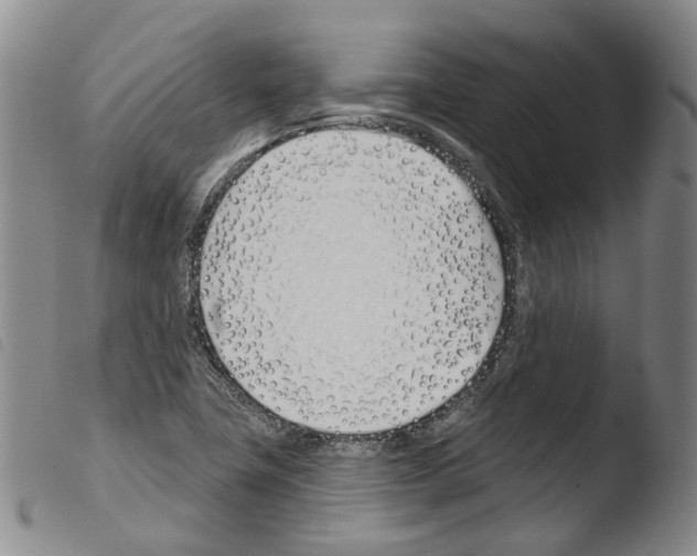 X0000103491411200810241050