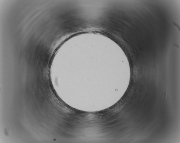 X0000103491412200810241050