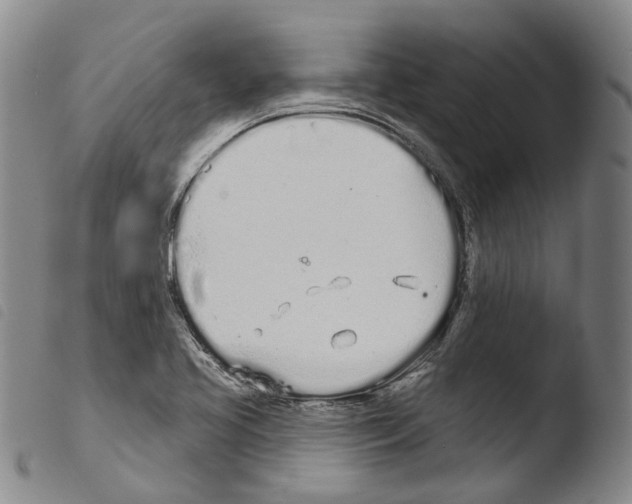 X0000103491413200810241050