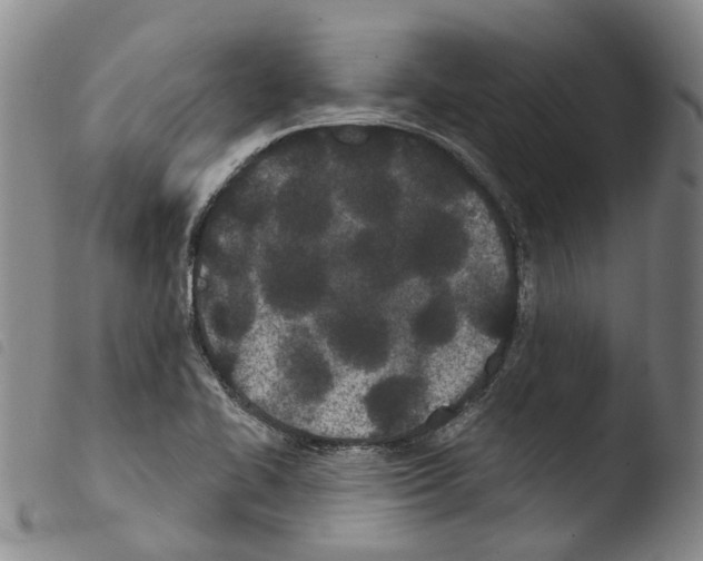 X0000103491414200810241050