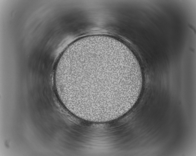 X0000103491415200810241050