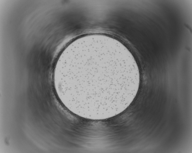 X0000103491416200810241050