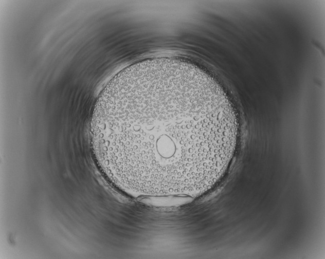 X0000103491417200810241051