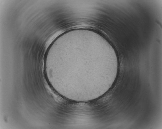 X0000103491418200810241051