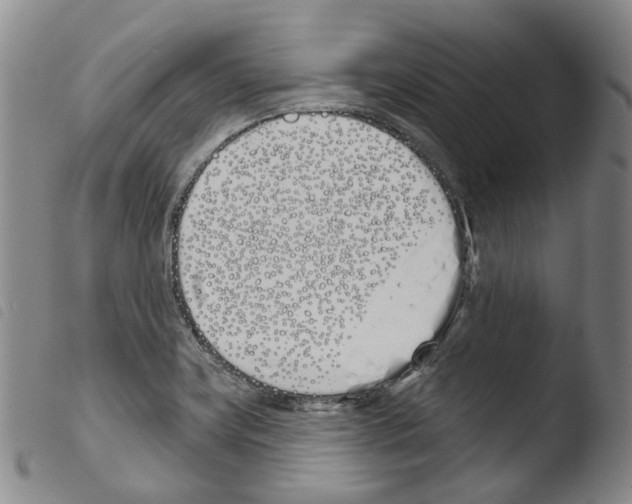 X0000103491419200810241051