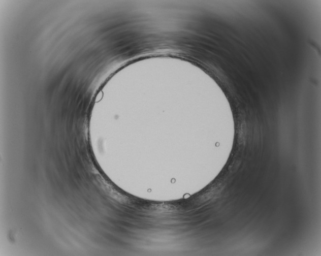 X0000103491420200810241051