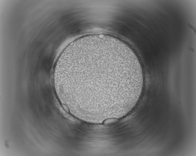 X0000103491421200810241051
