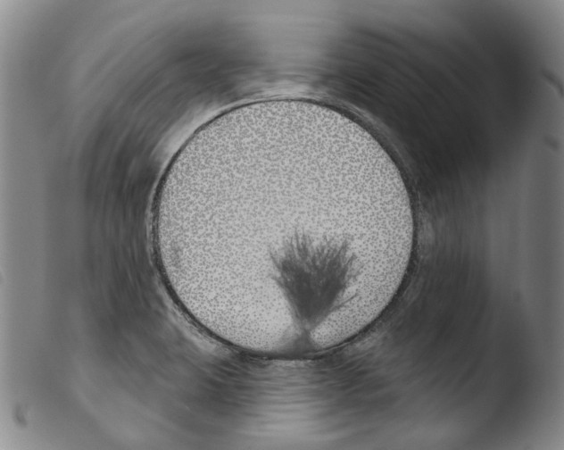 X0000103491423200810241051