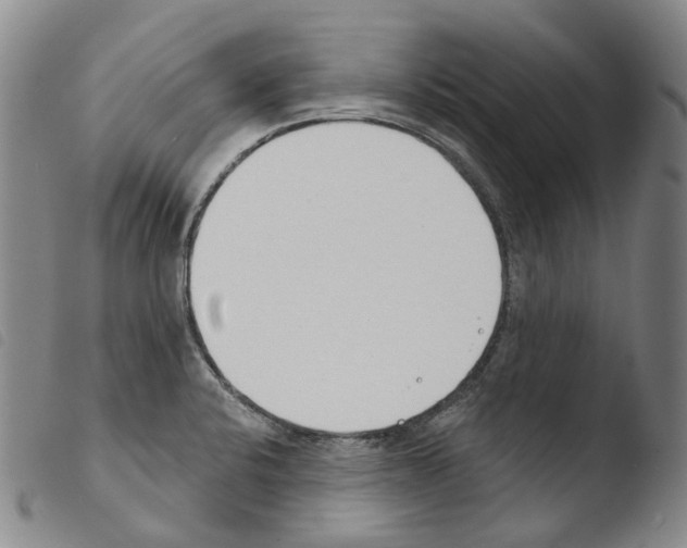 X0000103491424200810241051