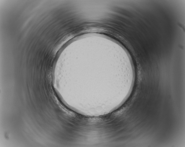 X0000103491425200810241051