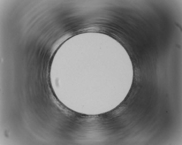 X0000103491426200810241051