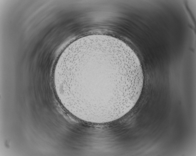 X0000103491427200810241051
