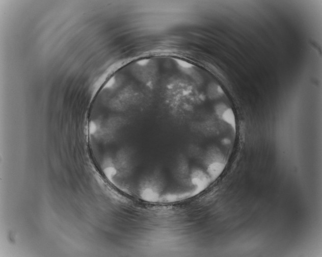X0000103491428200810241051
