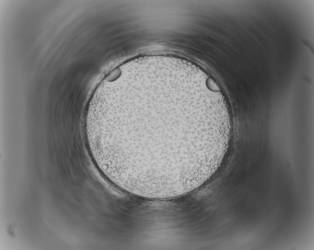 X0000103491429200810241051