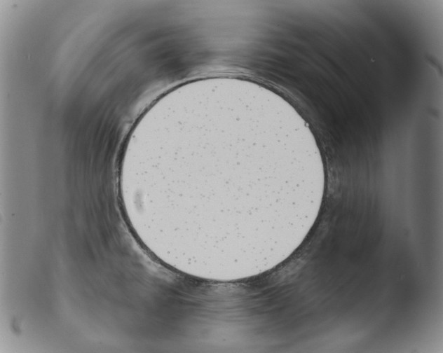 X0000103491430200810241051