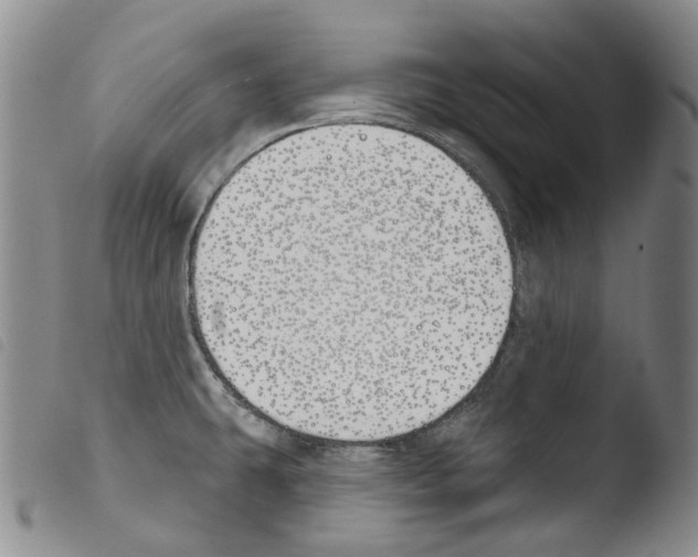 X0000103491431200810241051